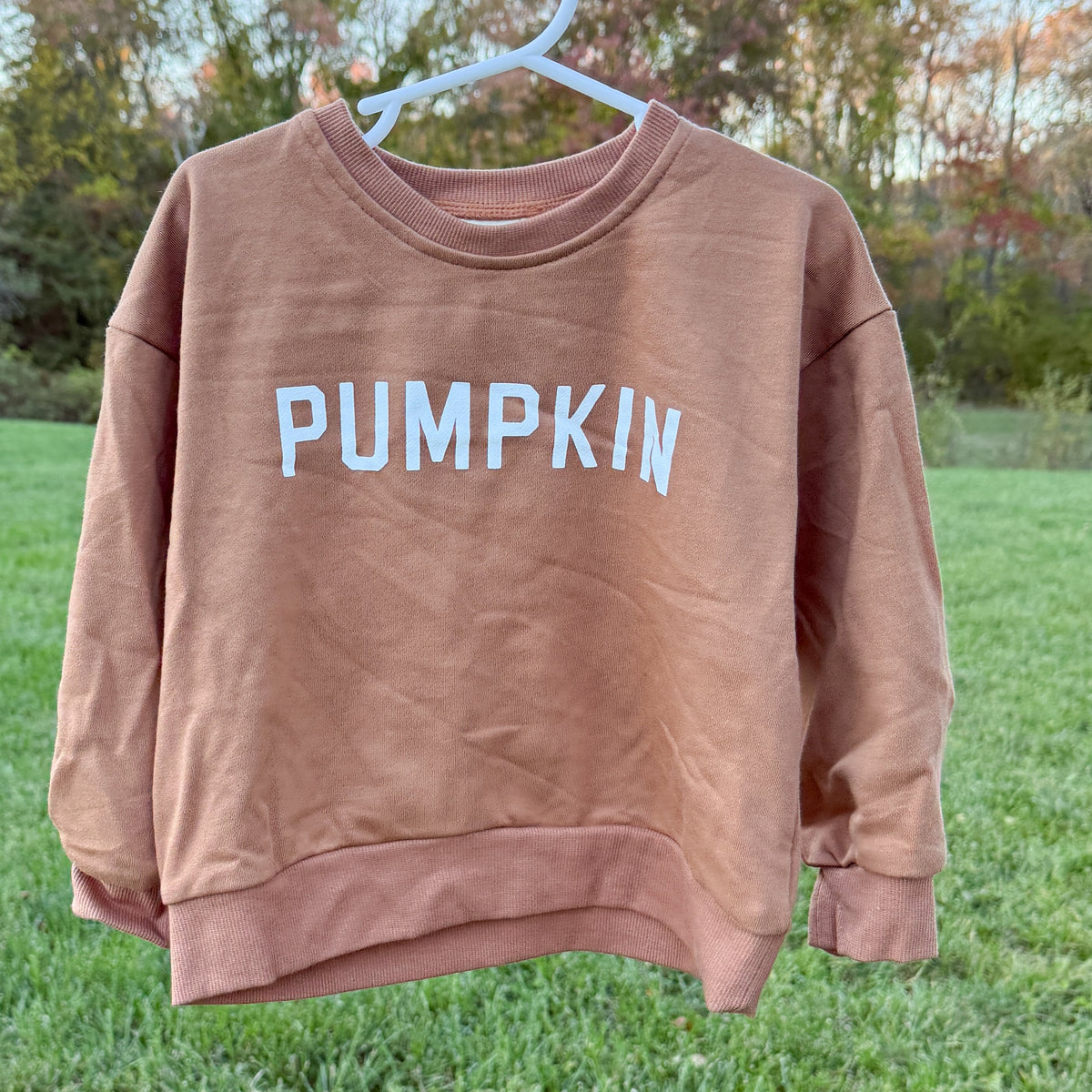 Pumpkin Crewneck Sweatshirt